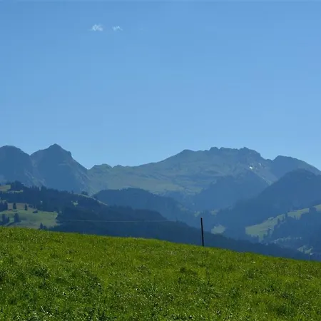 Lejlighed Henry - 1- Stock By Interhome Schönried